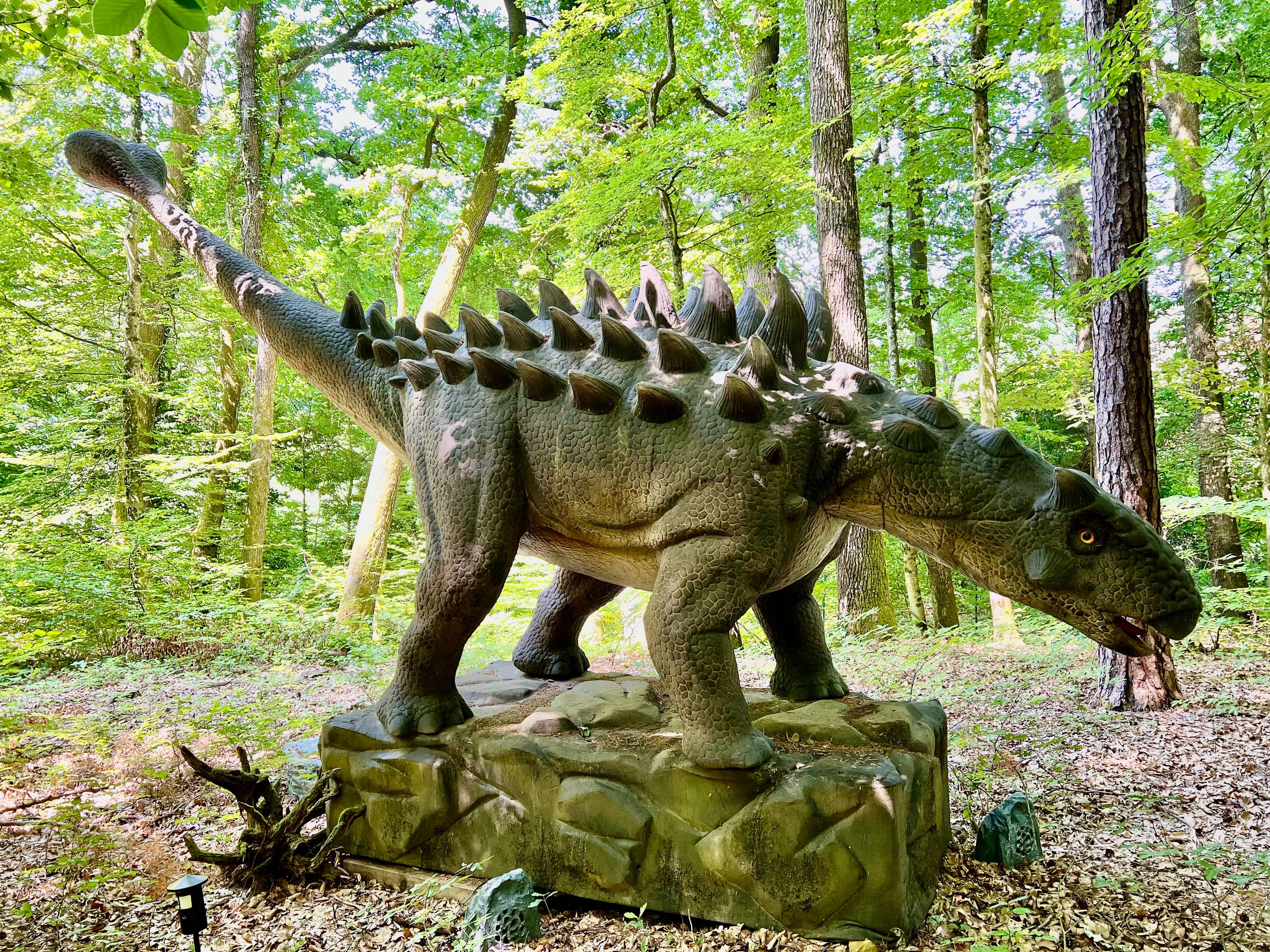 2025 Bad Gleichenberg   146